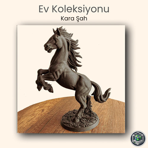 🐎 Kara Şah